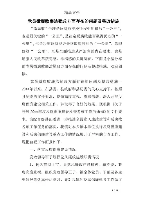 党员微腐败廉洁勤政方面存在的问题及整改措施