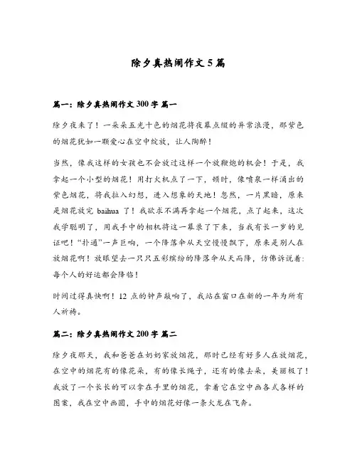 除夕真热闹作文5篇