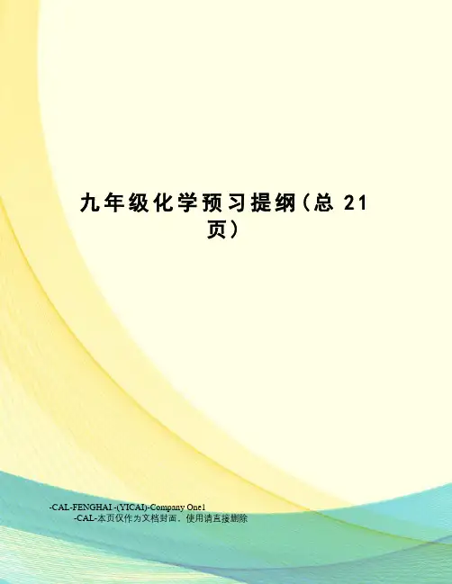 九年级化学预习提纲