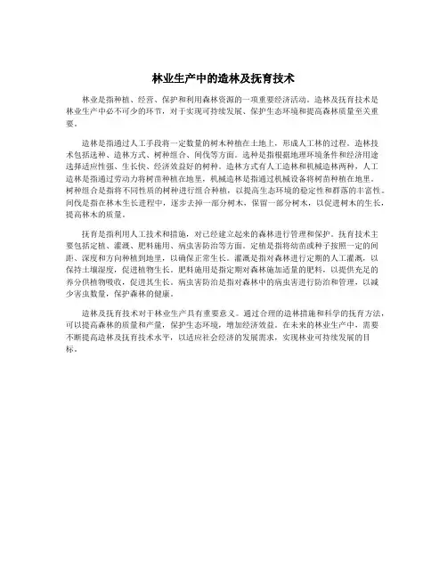 林业生产中的造林及抚育技术