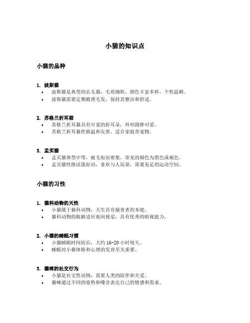 小猫的知识点