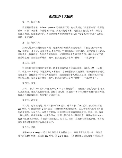 盘点世界十大猛禽