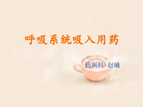 呼吸系统吸入用药