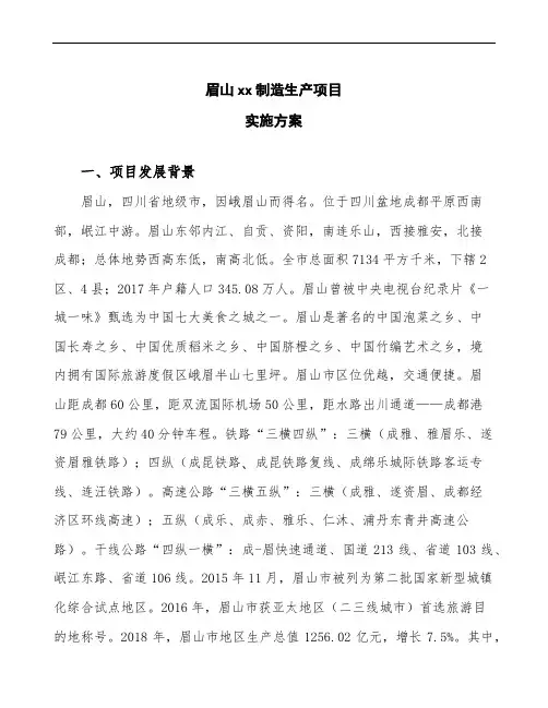 眉山建设项目实施方案