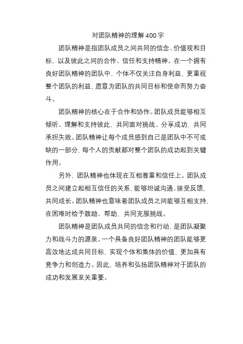 对团队精神的理解400字