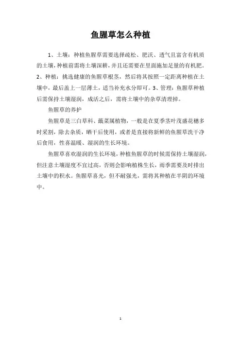 鱼腥草怎么种植