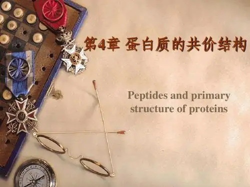 蛋白质的共价结构