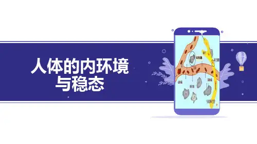 高三一轮复习-人体的内环境与稳态