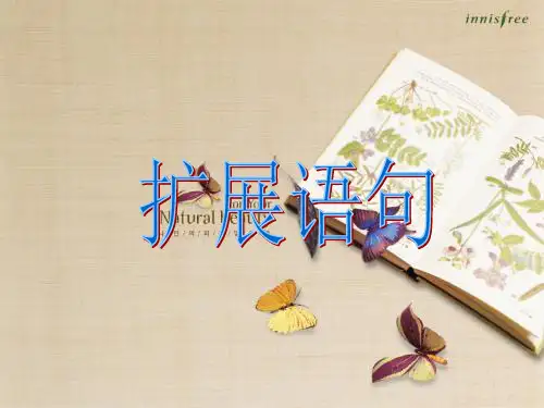 高考扩展语句精品PPT课件
