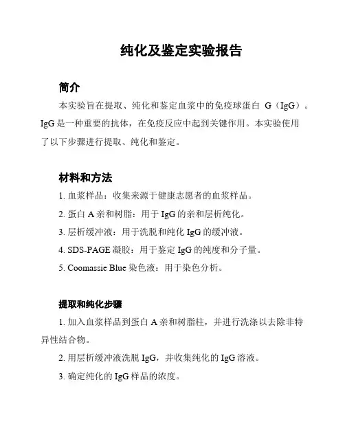 纯化及鉴定实验报告