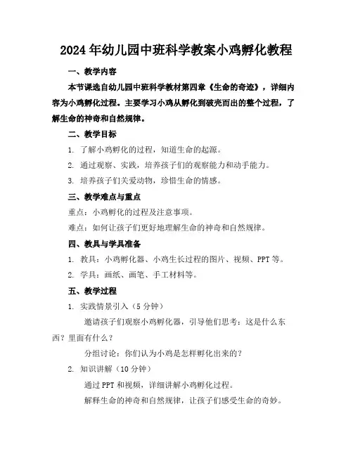 2024年幼儿园中班科学教案小鸡孵化教程