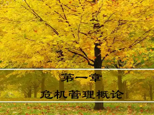 危机管理概论