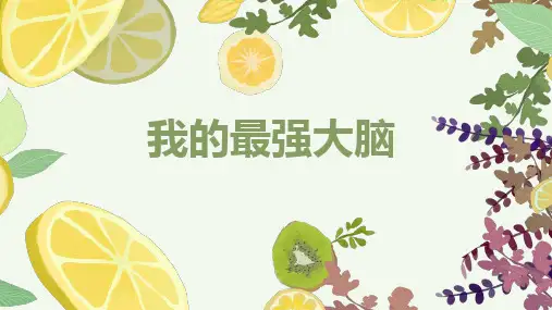 第七课 我的最强大脑 课件 2023—2024学年北师大版(2015)初中心理健康七年级全一册