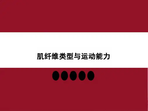 肌纤维类型与运动能力