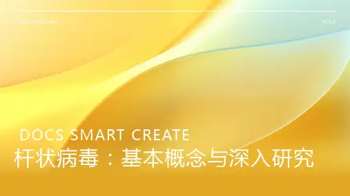 杆状病毒资料