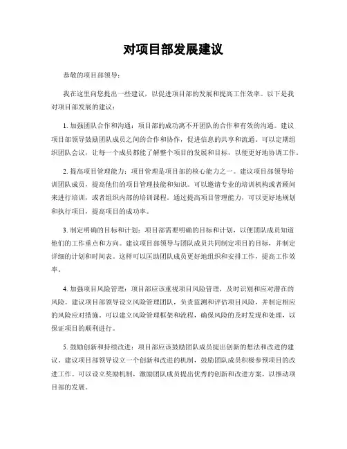 对项目部发展建议