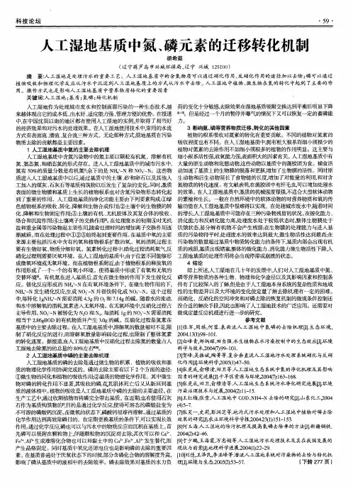 人工湿地基质中氮、磷元素的迁移转化机制