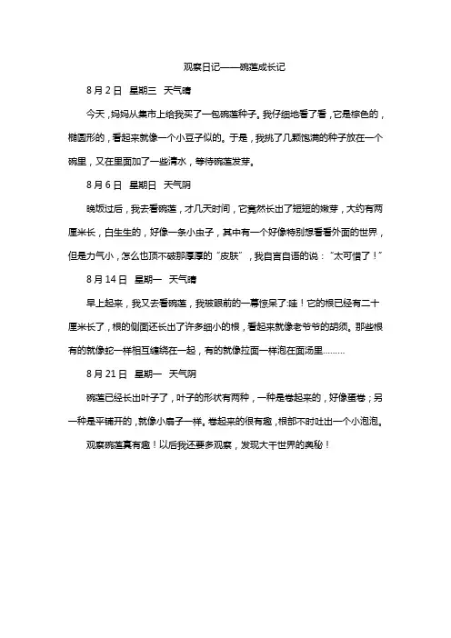 观察日记——碗莲成长记