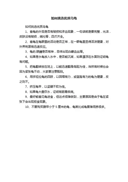 如何挑选优质乌龟