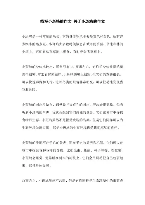 描写小斑鸠的作文 关于小斑鸠的作文