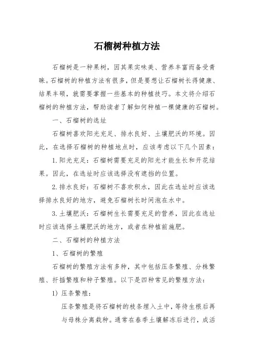 石榴树种植方法