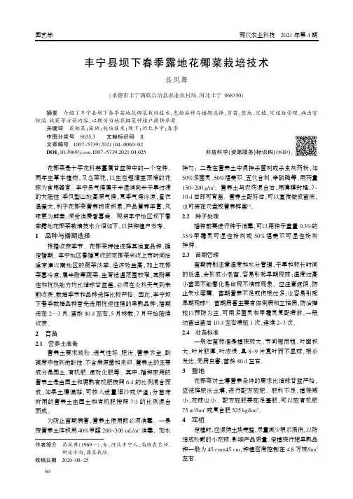丰宁县坝下春季露地花椰菜栽培技术