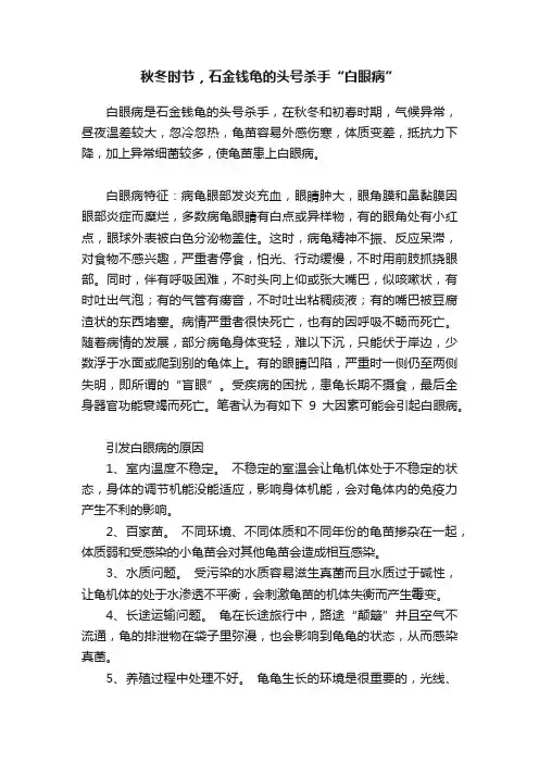 秋冬时节，石金钱龟的头号杀手“白眼病”