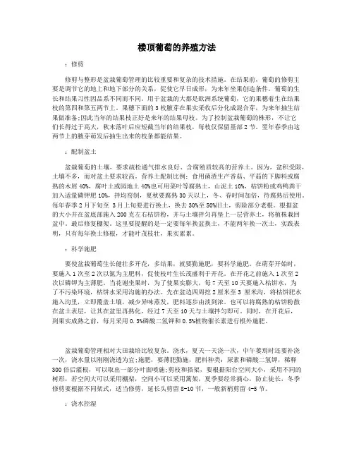 楼顶葡萄的养殖方法