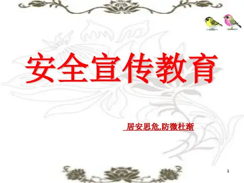 安全教育宣传PPT课件
