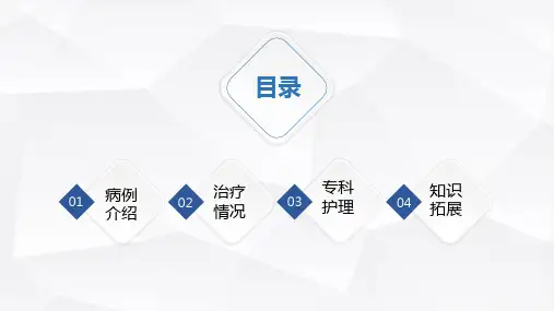 血液科护理查房ppt课件.pptx