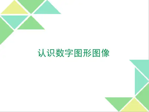 认识数字图形图像