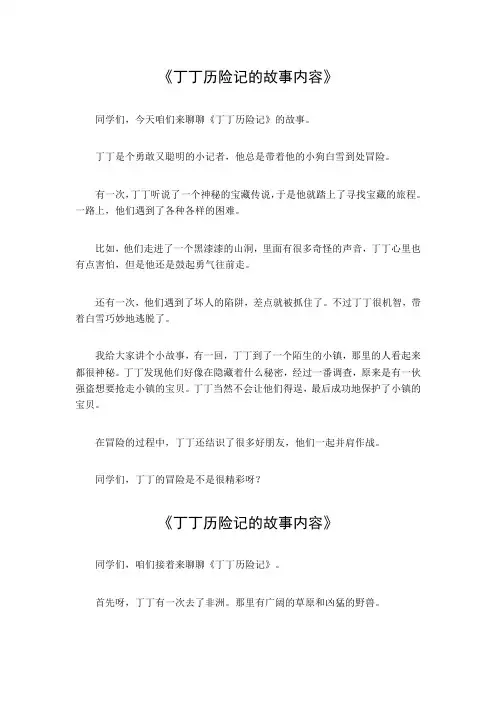 丁丁历险记的故事内容