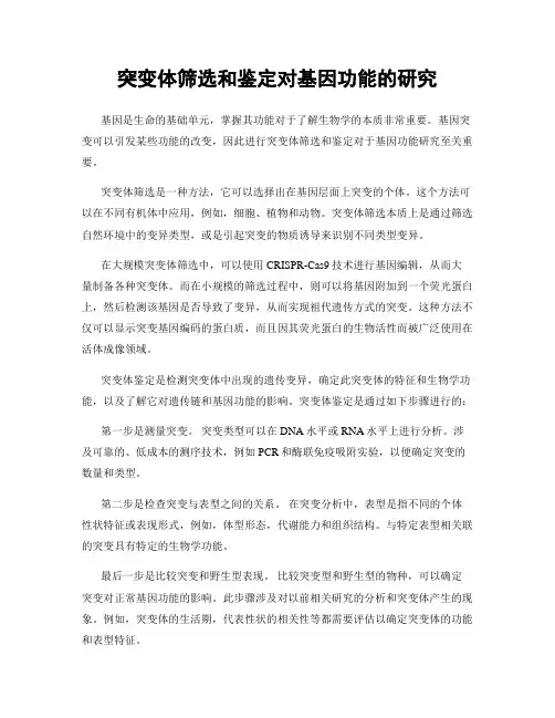 突变体筛选和鉴定对基因功能的研究