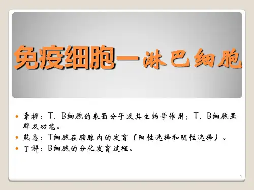 医学免疫学(第八版)免疫细胞