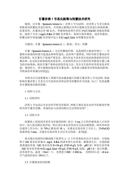 甘薯济黑1号茎尖脱毒与快繁技术研究