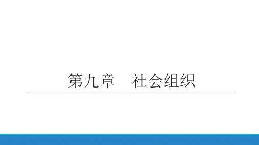社会学概论第9章