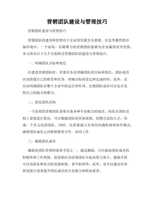  营销团队建设与管理技巧