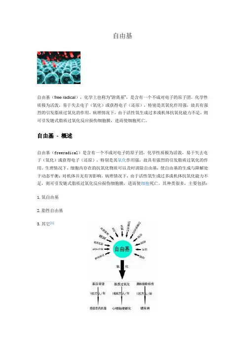 自由基