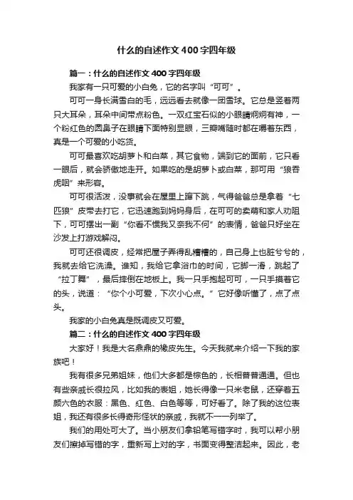 什么的自述作文400字四年级