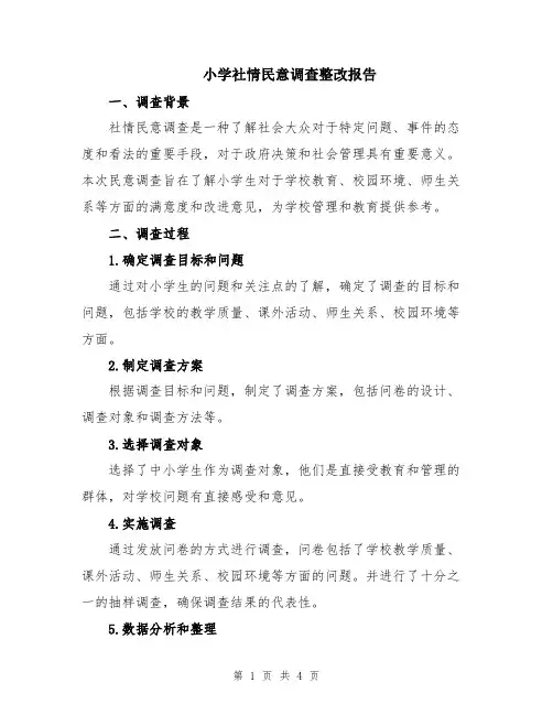 小学社情民意调查整改报告