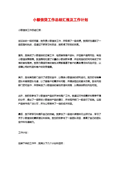 小额信贷工作总结汇报及工作计划