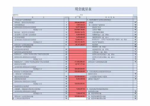 现金流量表(自动生成)-直接法