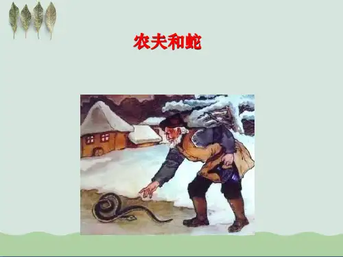《农夫和蛇》ppt