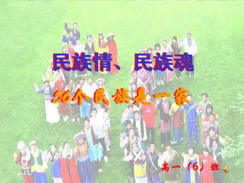 民族情,民族魂