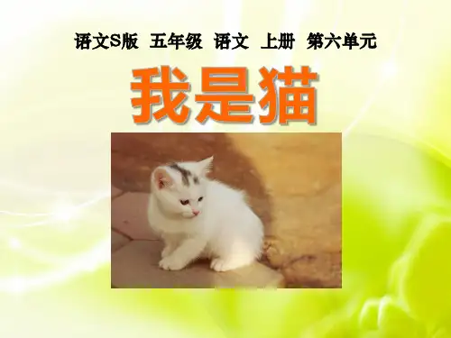 【小学课件】《我是猫》优质PPT课件4