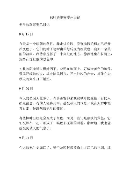枫叶的观察变色日记