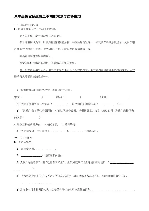 2022-2023学年部编版语文八年级下册期末复习综合练习