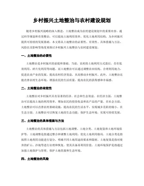 乡村振兴土地整治与农村建设规划