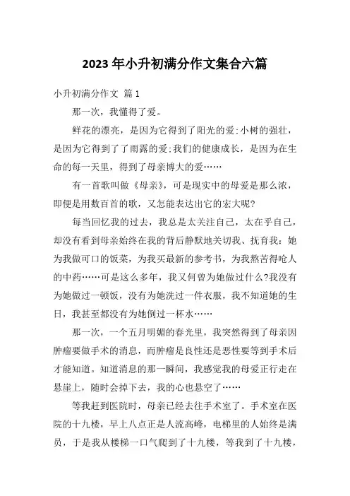 2023年小升初满分作文集合六篇