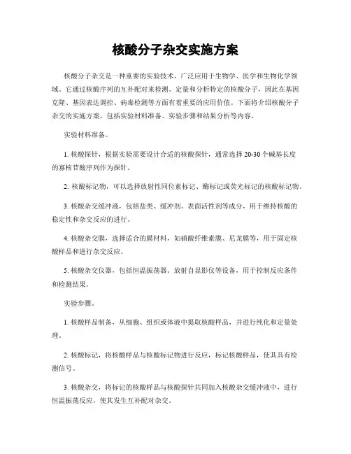 核酸分子杂交实施方案